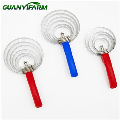 Curryborste För Häst