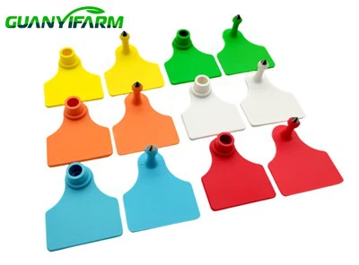 Öronetikett för svin