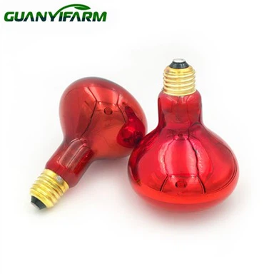 Infraröd Brooder Lampa