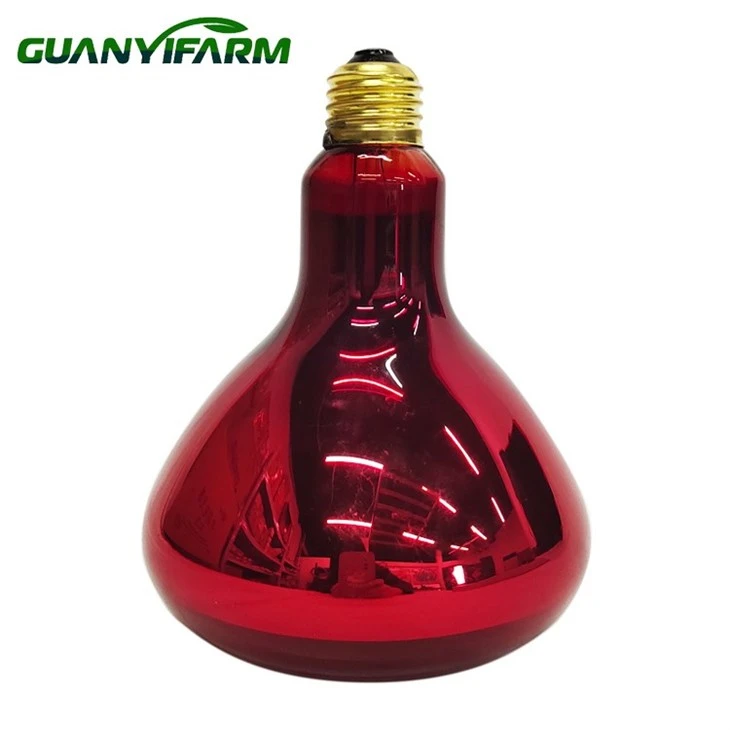 R125 Infraröd 150w