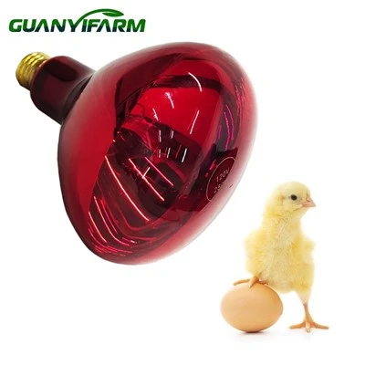 Chick glödlampa