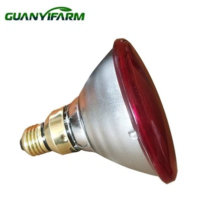 Par38 Spotlight