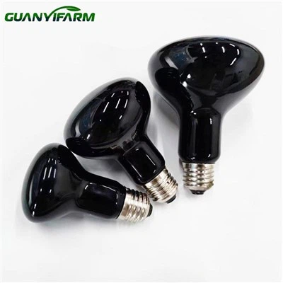 Reptil nattvärmelampa